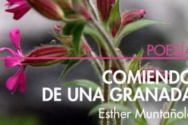 Esther Muntañola portada "Comiendo de una granada"