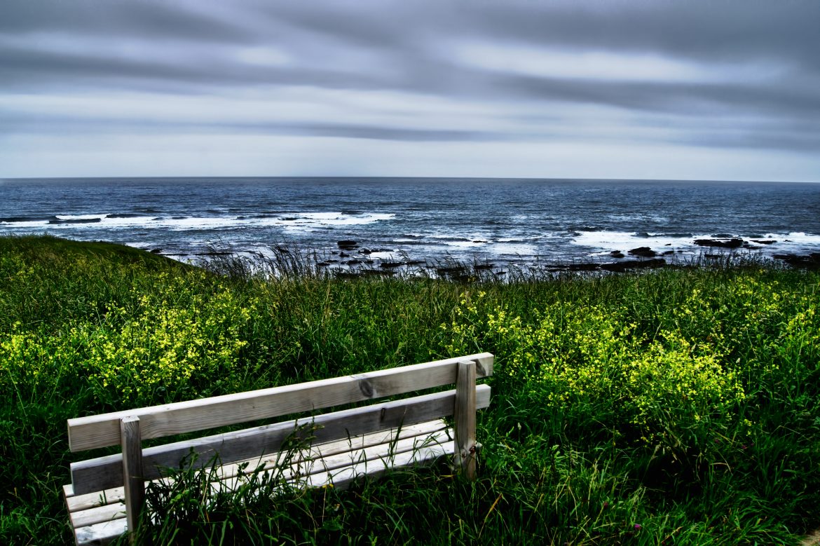 obra fotográfica de Alfonso García. Palabra de Argonauta