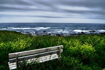 obra fotográfica de Alfonso García. Palabra de Argonauta