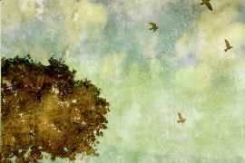 Conrado Castilla Rubio