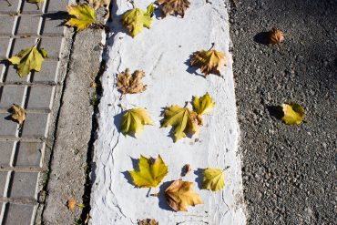 PALABRA DE ARGONAUTA - Especial Microrrelatos