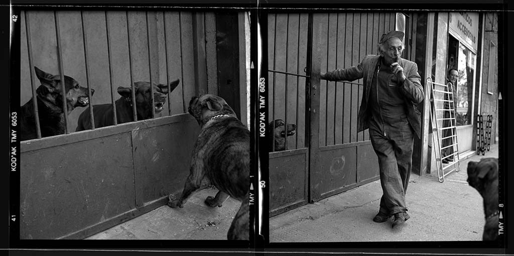 Fotografía Luis Baylón Festival Ojos Rojos