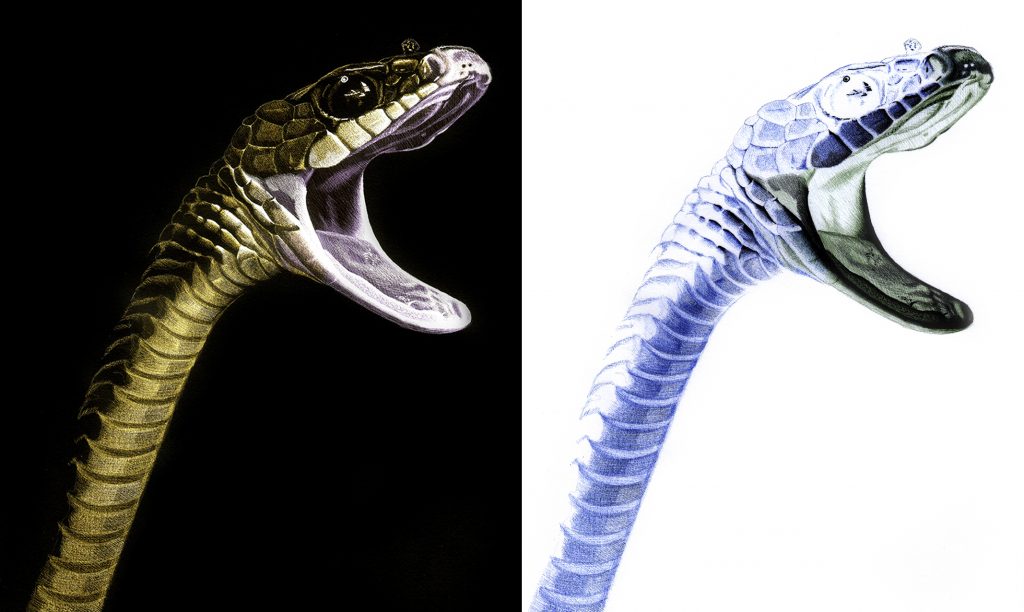 animal Farm Jaime de la torre