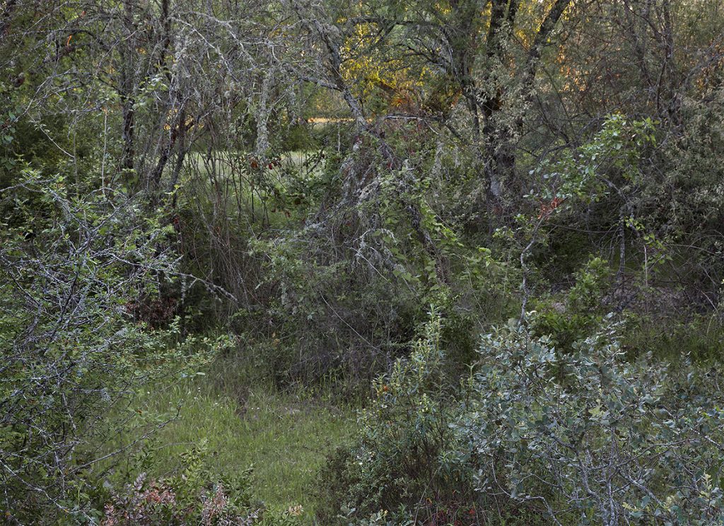 fotografia White Balance Odisea Cultural